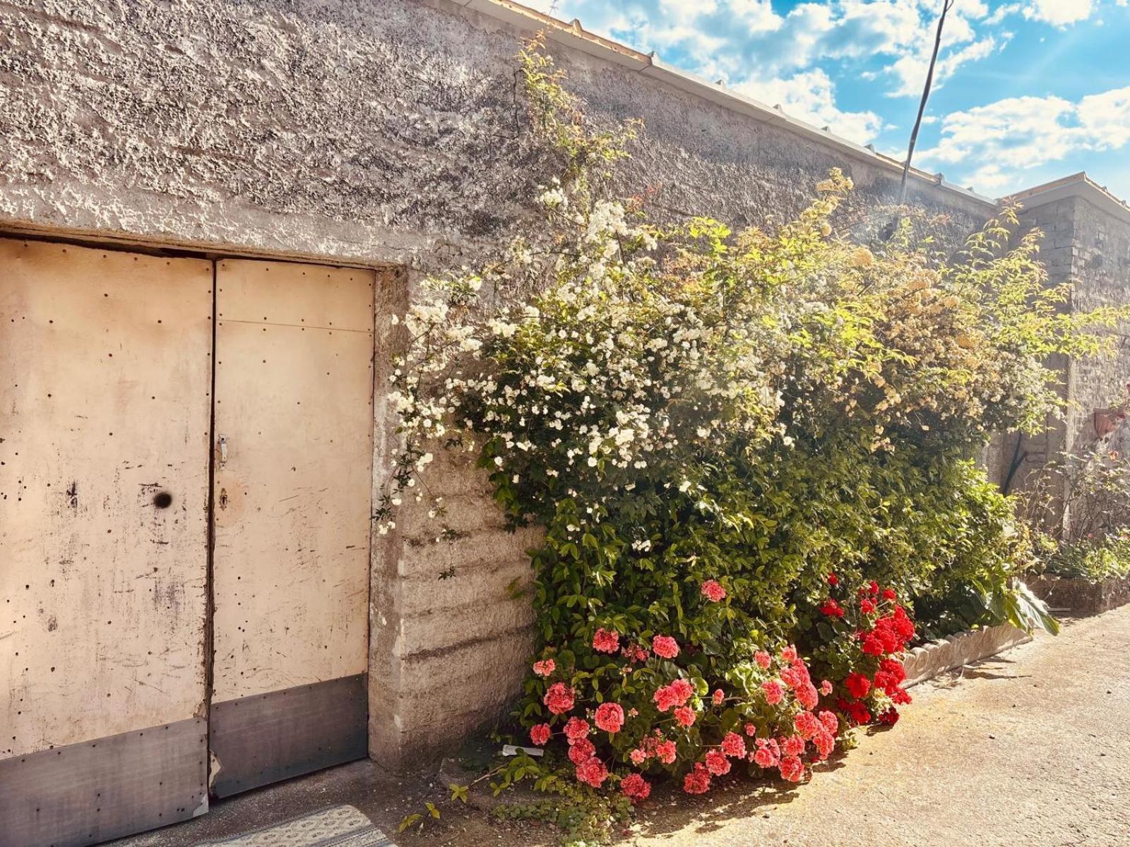 Camping Borghetti Ortona Dış mekan fotoğraf